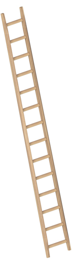 Layher Holzanlegeleiter Bau 14 Sprossen, L=4,0m #1036014